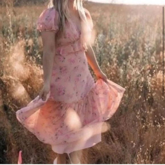 NWT Love Shack Fancy  Fleur Pink Floral Dress Women's Size 4 - Picture 4 of 16